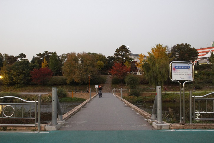 1_L_1414999501.JPG