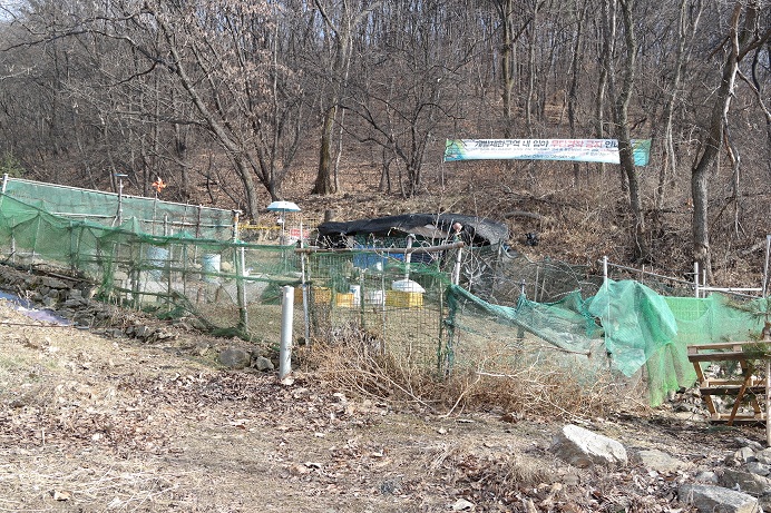 1_L_1425541617.jpg
