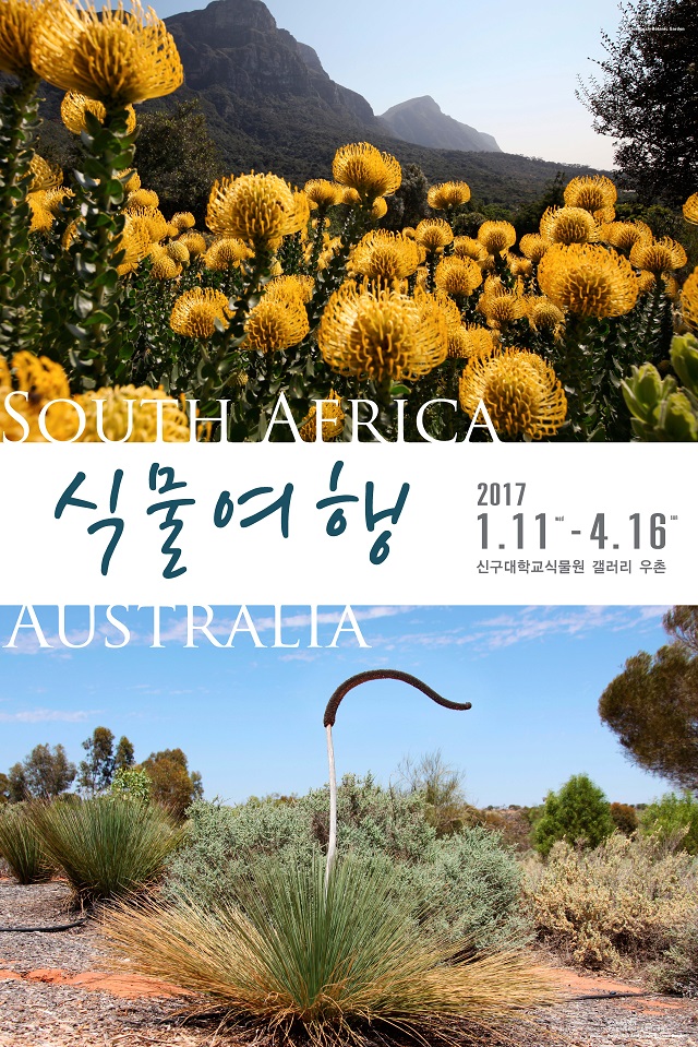 [Ʈ]South Africa – Australia Ĺ