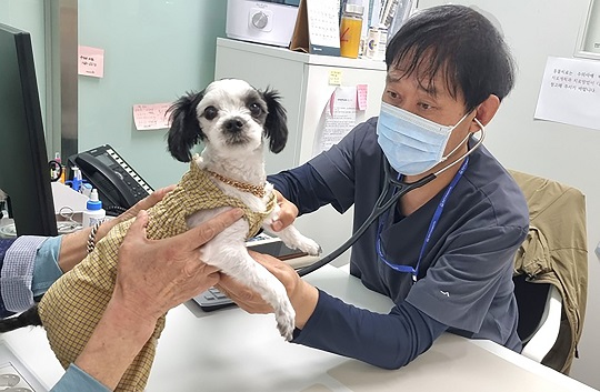 �����ø��������� ���� ��� ���ùο� �Ծ�� ���ǡ����⵿������ Ȯ��