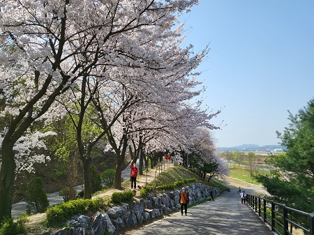 ������, ���ɱ� ���� 9�� ������ �������� �� ������